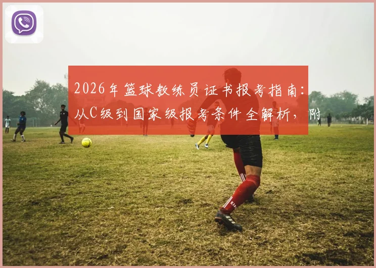 2026年篮球教练员证书报考指南：从C级到国家级报考条件全解析，附最新培训费用与机构选择要点