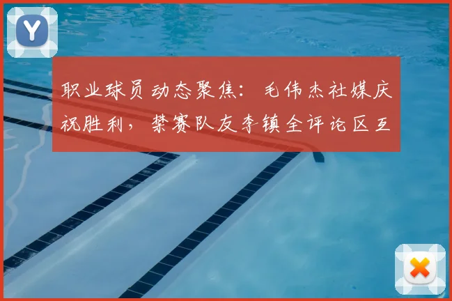 职业球员动态聚焦：毛伟杰社媒庆祝胜利，禁赛队友李镇全评论区互动引热议