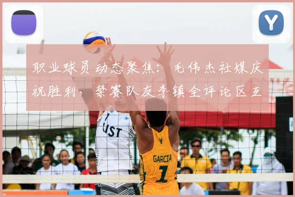 职业球员动态聚焦：毛伟杰社媒庆祝胜利，禁赛队友李镇全评论区互动引热议